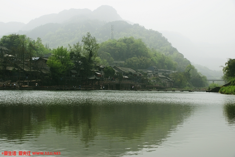 DSC09133.jpg