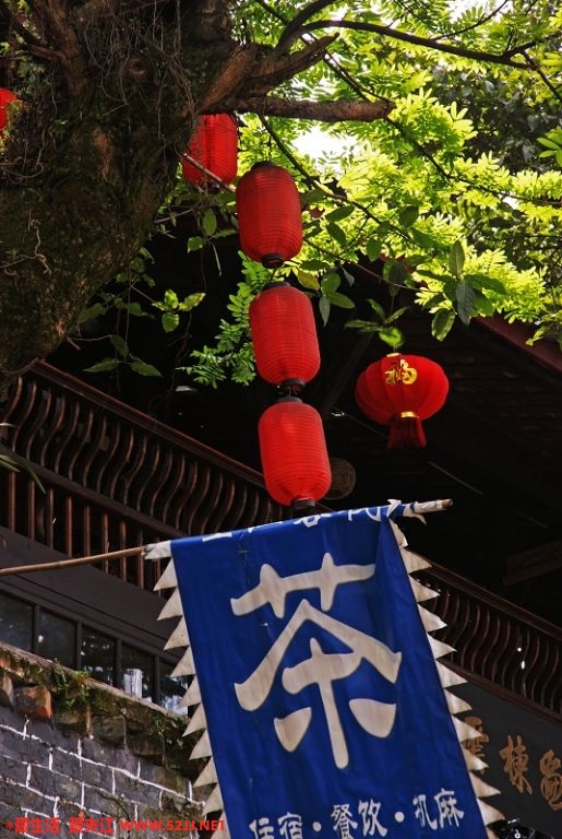 DSC09121.jpg