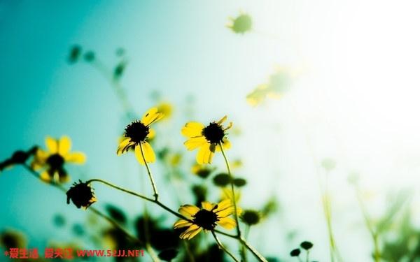 m_1270801477140.jpg