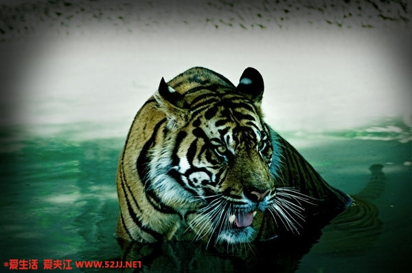 m_1270801497221.jpg