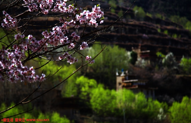 IMG_1592 副本.jpg