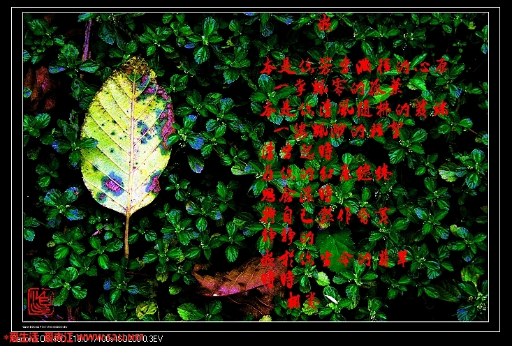 abbr_8dedc2a19a012377417d5e0db90d34e9.jpg