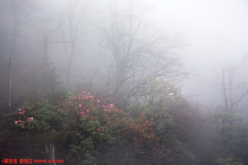 IMG_7744_缩小大小.jpg