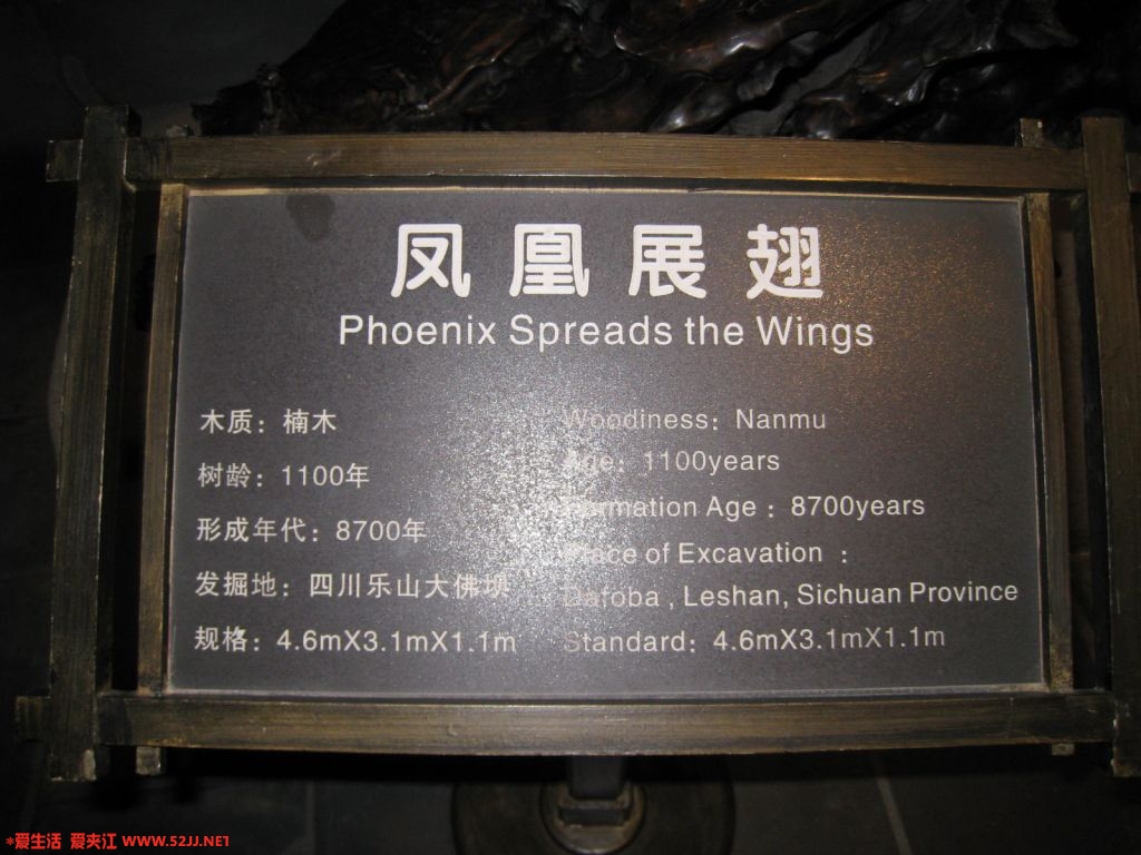凤凰展翅说明.JPG