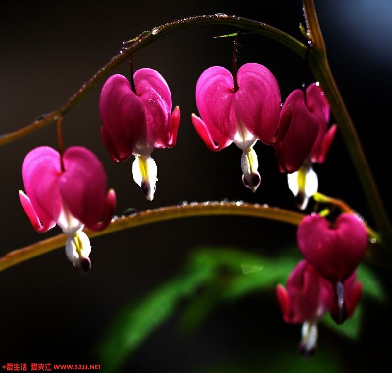 副本IMG_2270_缩小大小.jpg