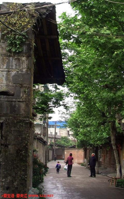 古巷春天03