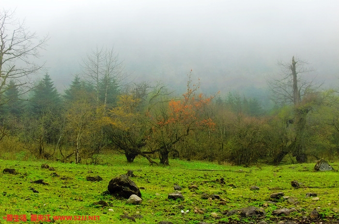 DSCF2267.jpg