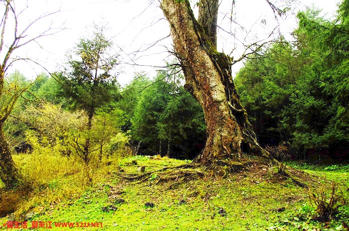 DSCF2273.jpg