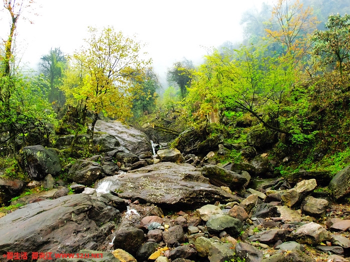 DSCF2385.jpg
