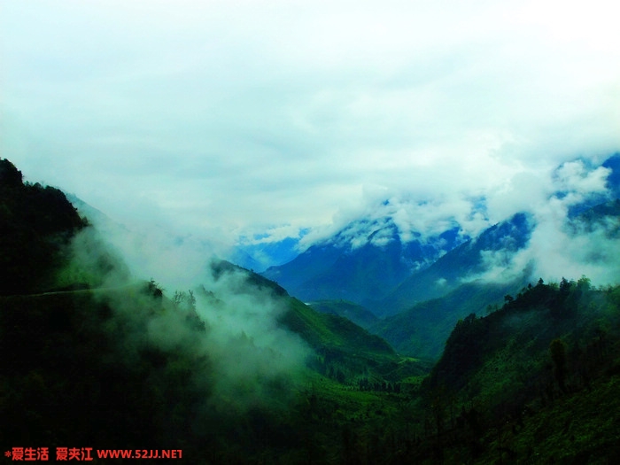 DSCF2378.jpg