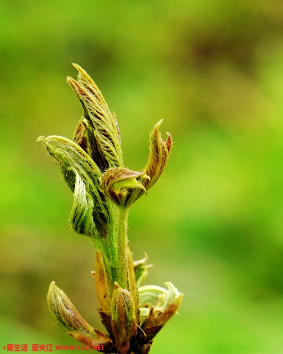 DSCF2291.jpg
