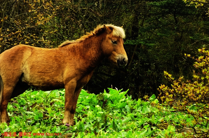DSCF2280.jpg