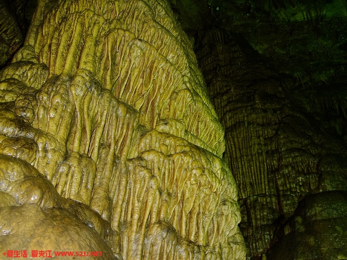 DSCF2495.jpg