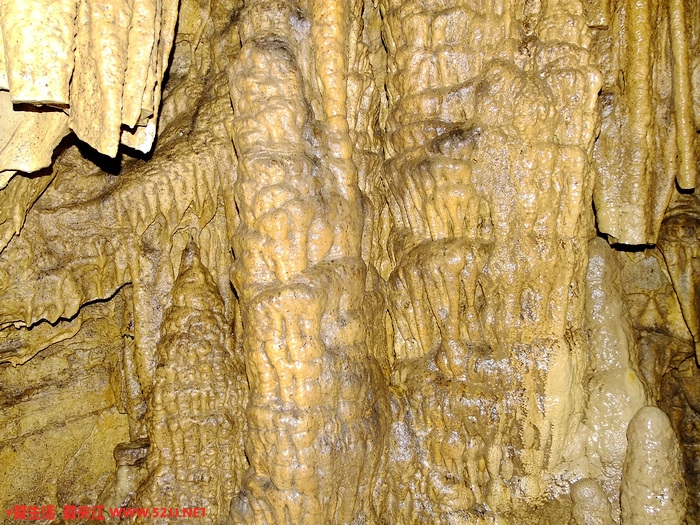 DSCF2497.jpg