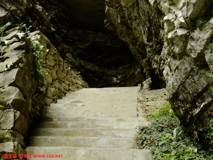 DSCF2464.jpg