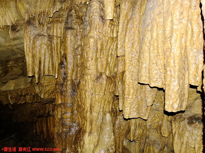 DSCF2474.jpg