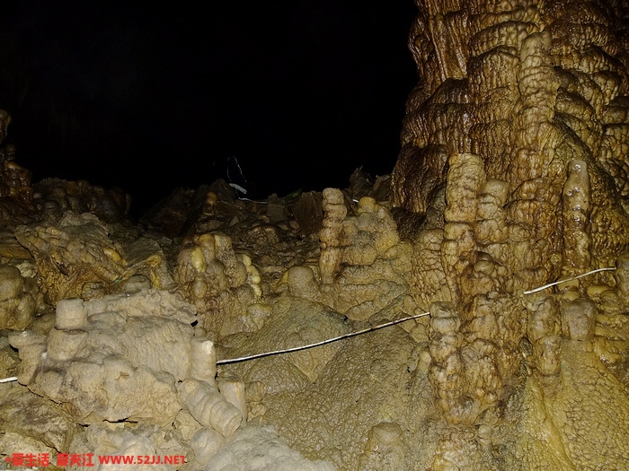 DSCF2479.jpg