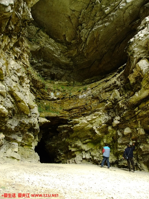 DSCF2468.jpg