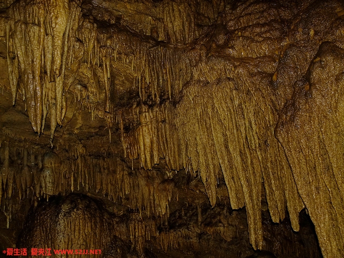 DSCF2487.jpg