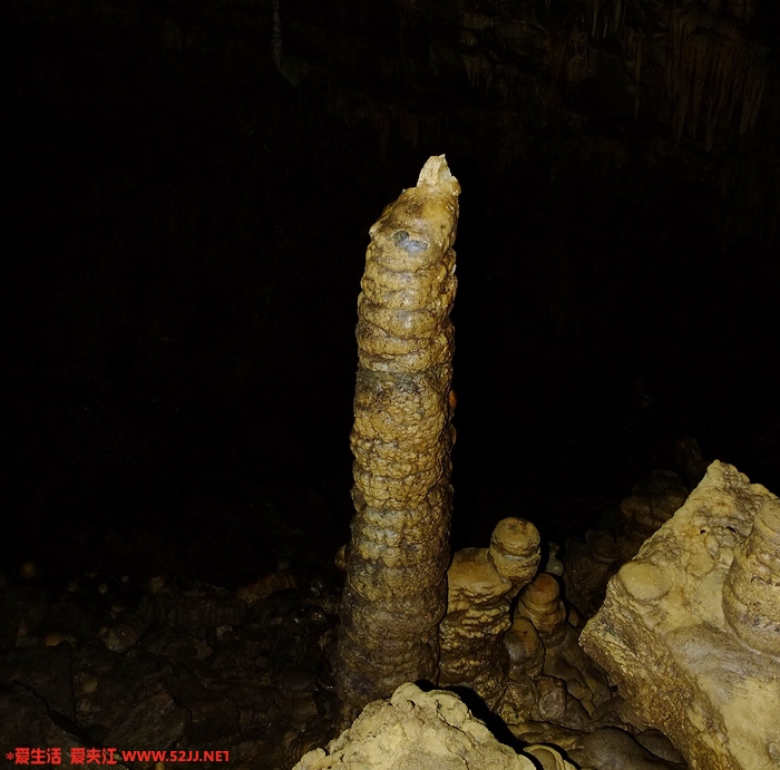 DSCF2486.jpg