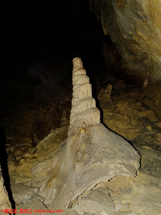 DSCF2480.jpg
