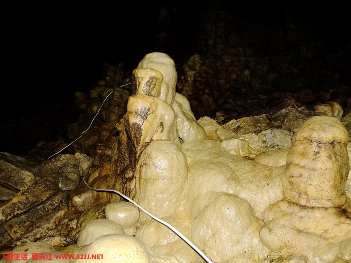 DSCF2485.jpg