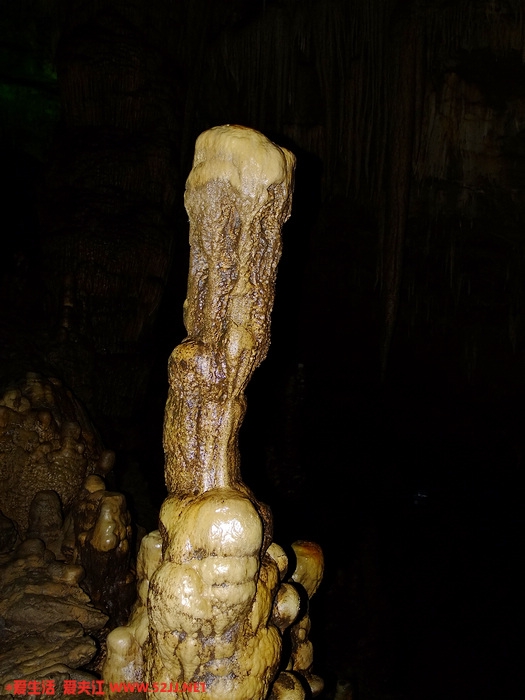 DSCF2484.jpg