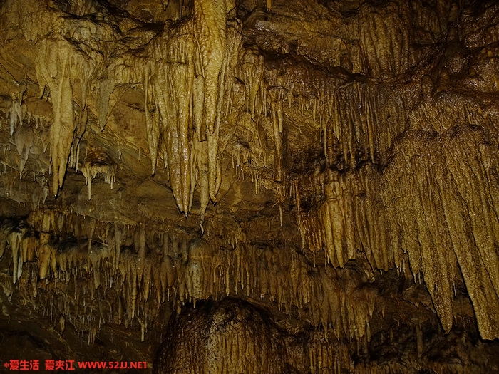 DSCF2488.jpg
