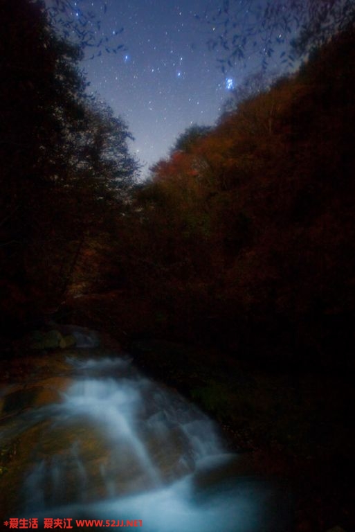 081107_006560_1.jpg
