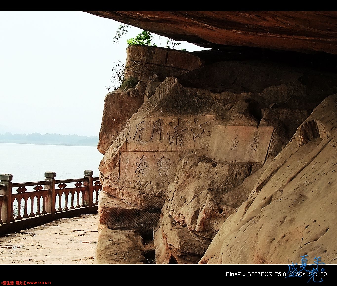 DSCF2906.jpg