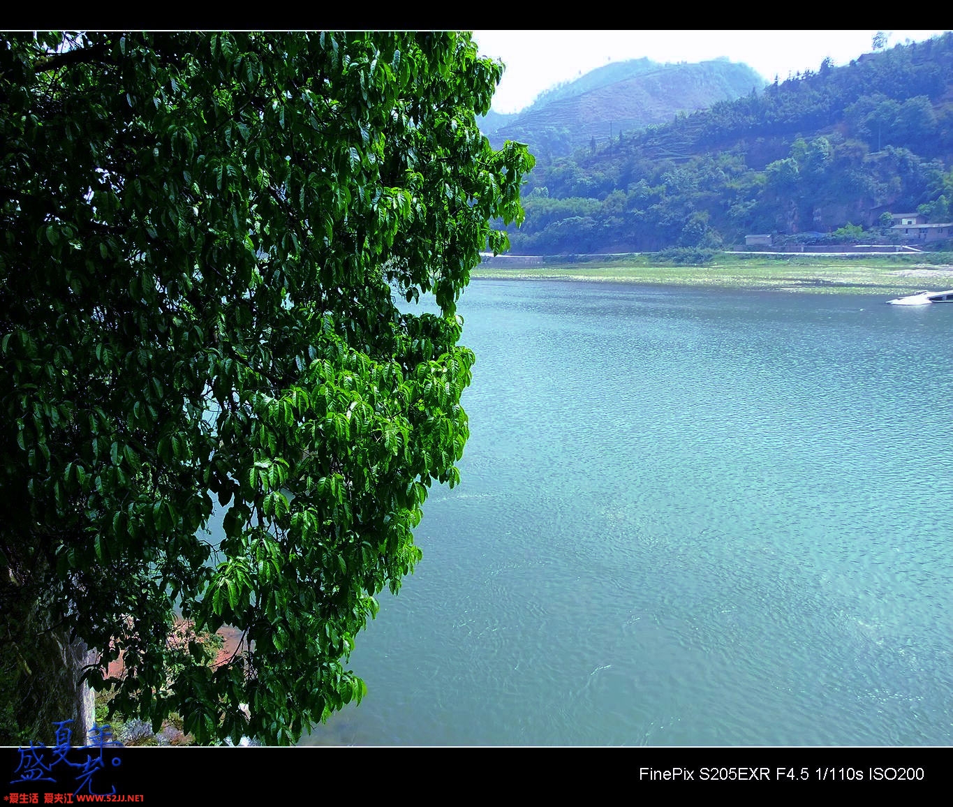 DSCF2936.jpg