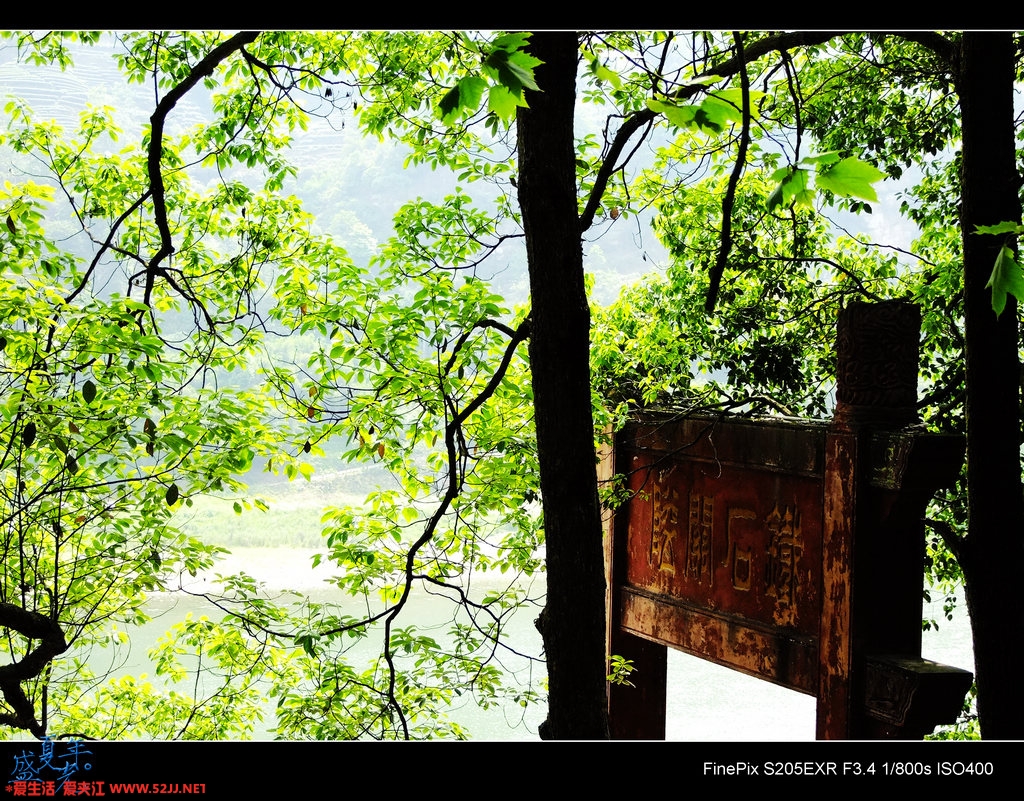 DSCF2968.jpg