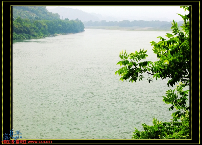 DSCF2938.jpg