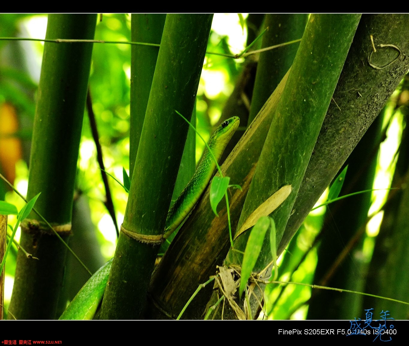 DSCF2966.jpg