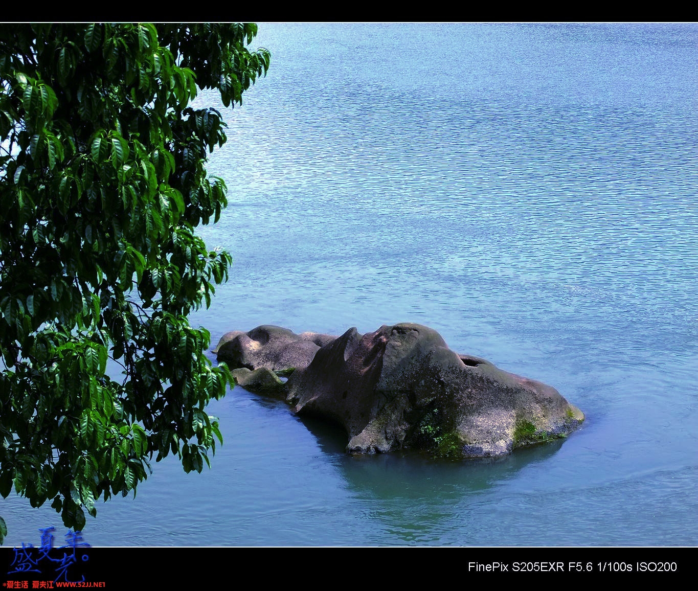DSCF2937.jpg
