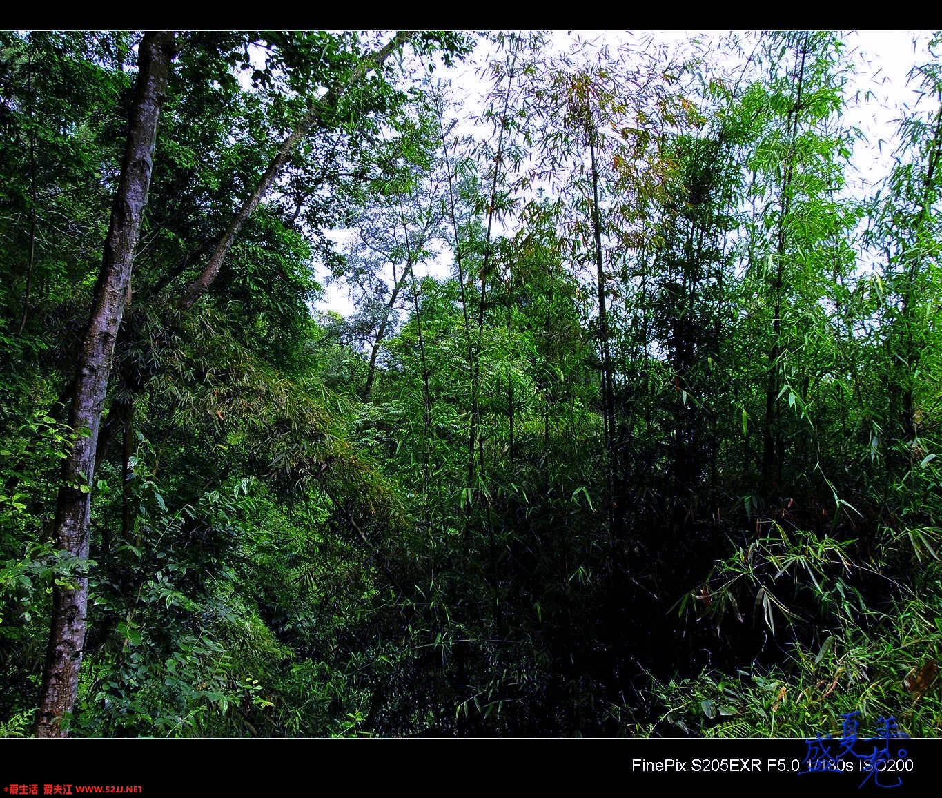 DSCF2952.jpg