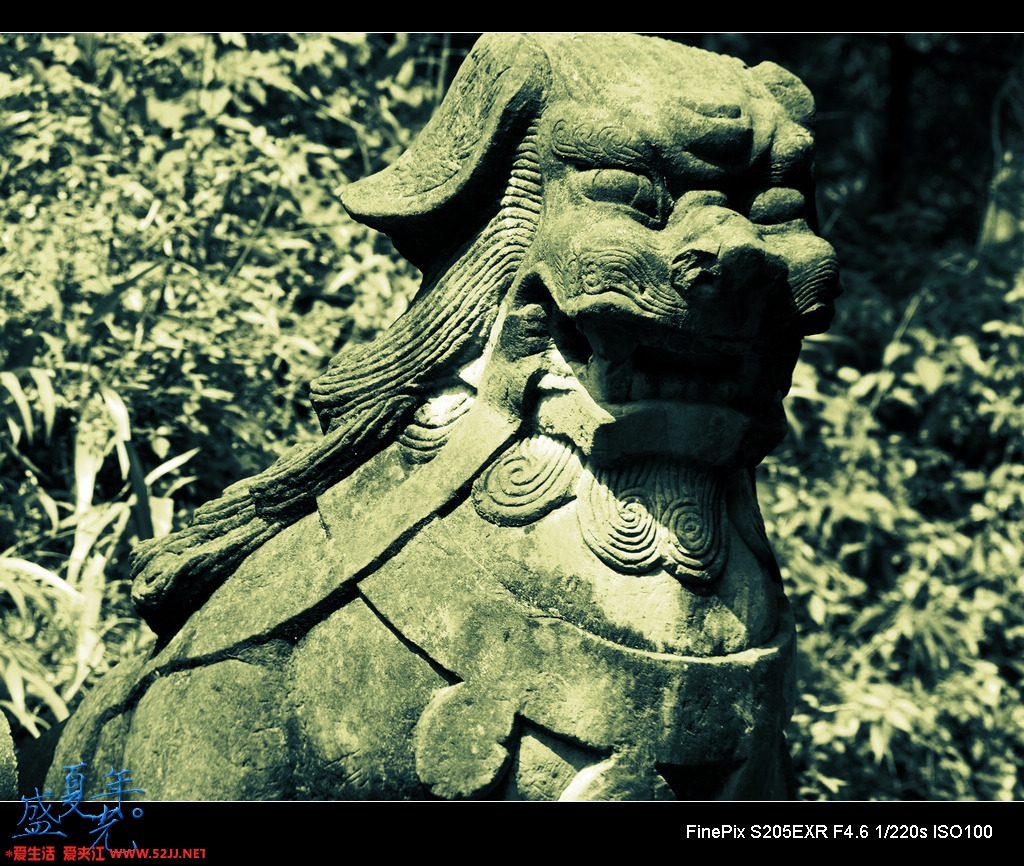 DSCF2859.jpg
