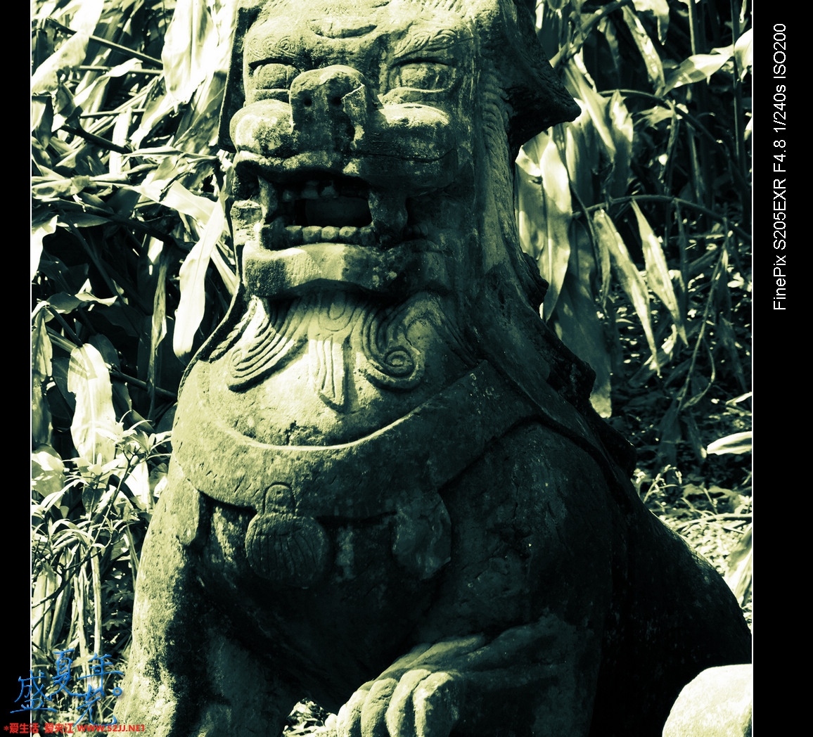 DSCF2860.jpg