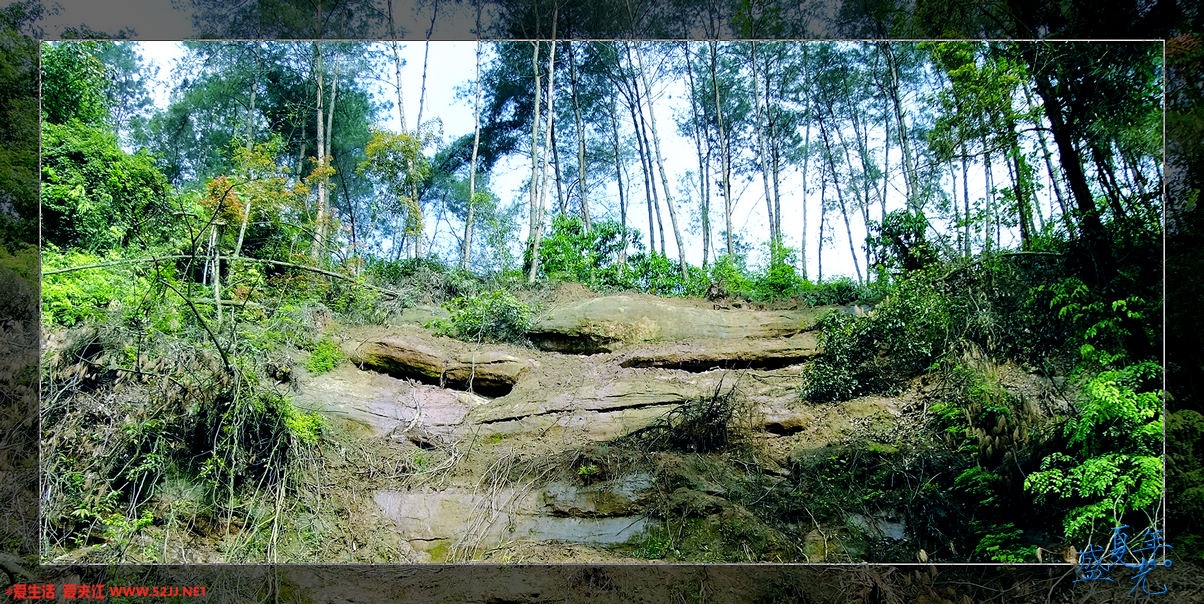 DSCF2813.jpg