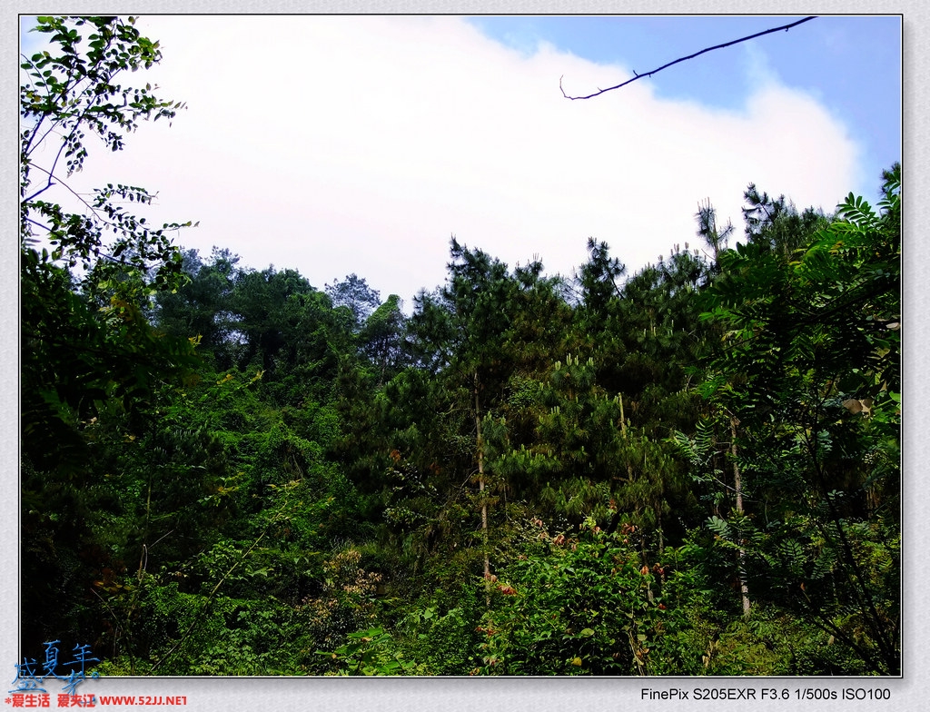 DSCF2814.jpg