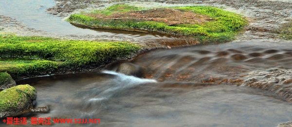DSC_0200.jpg