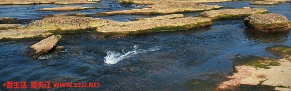 DSC_0215.jpg