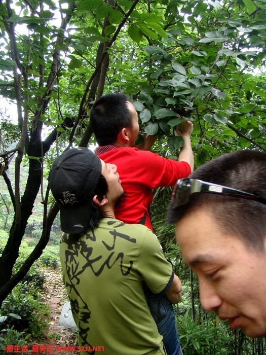 DSC08062.JPG