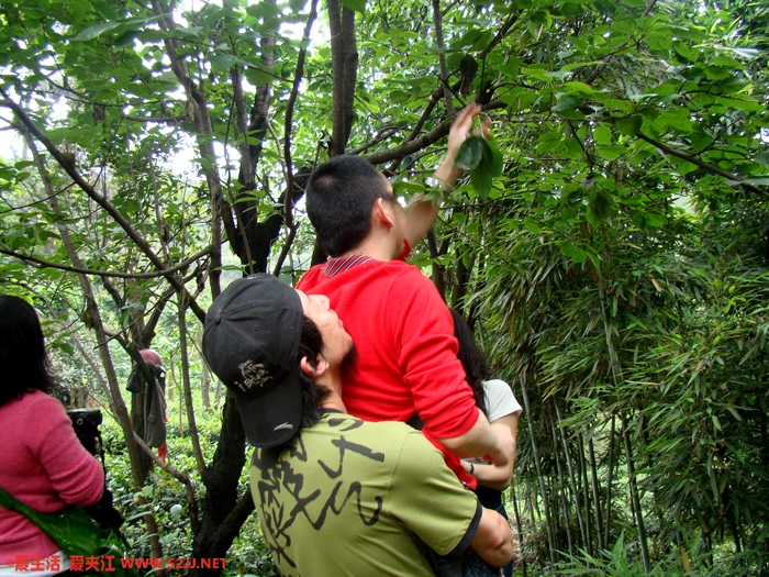 DSC08063.JPG