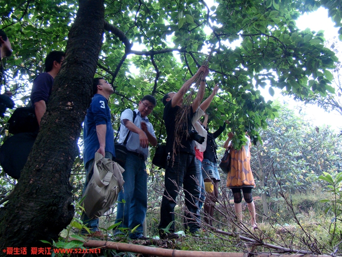 DSC08066.JPG