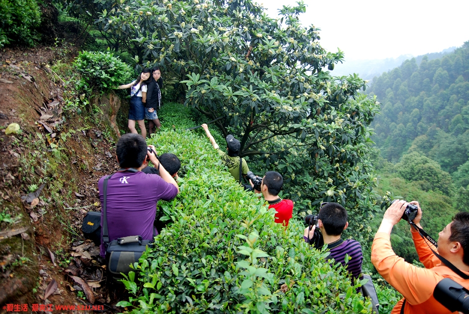 DSC_0129.JPG