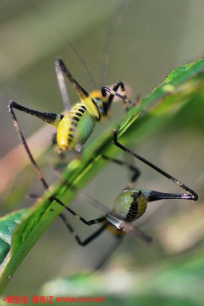 DSC_0062.jpg