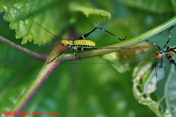 DSC_0066.jpg