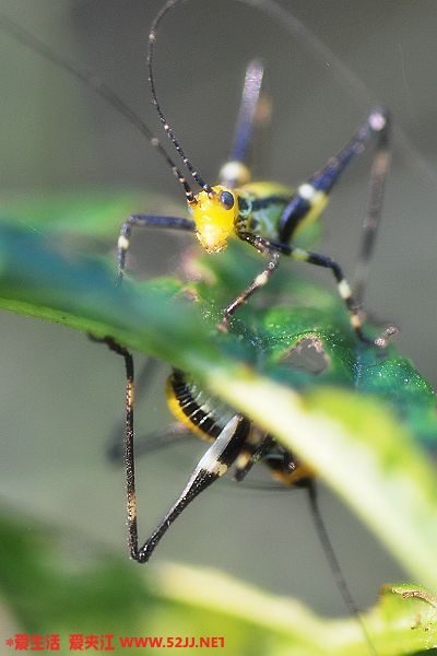 DSC_0064.jpg