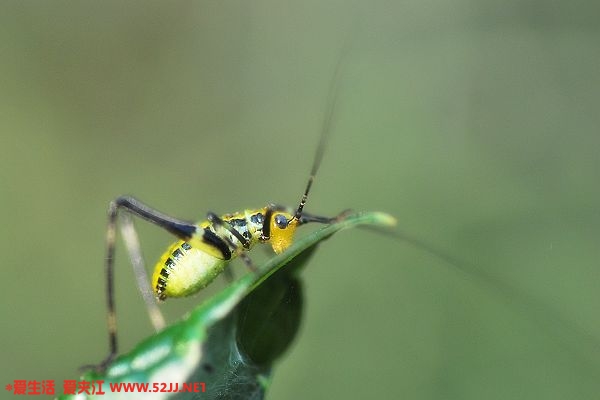 DSC_0065.jpg